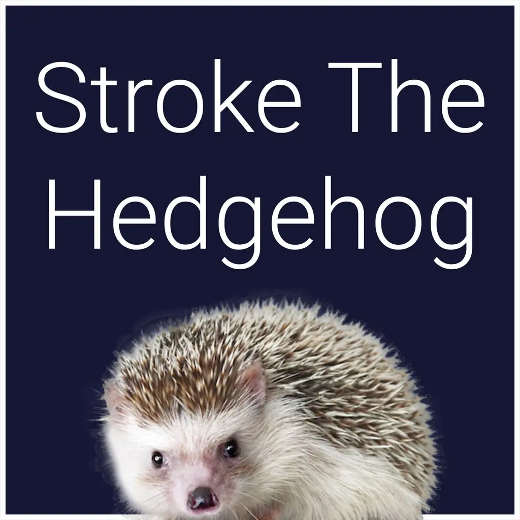 Stroke The Hedgehog — цена PS4/PS5 в Беларуси