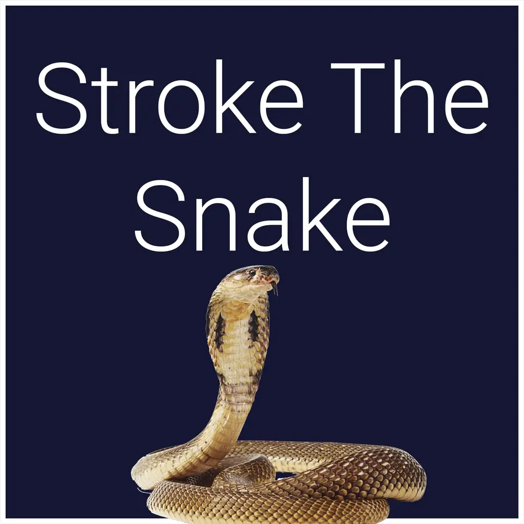 Stroke The Snake — цена PS4/PS5 в Беларуси