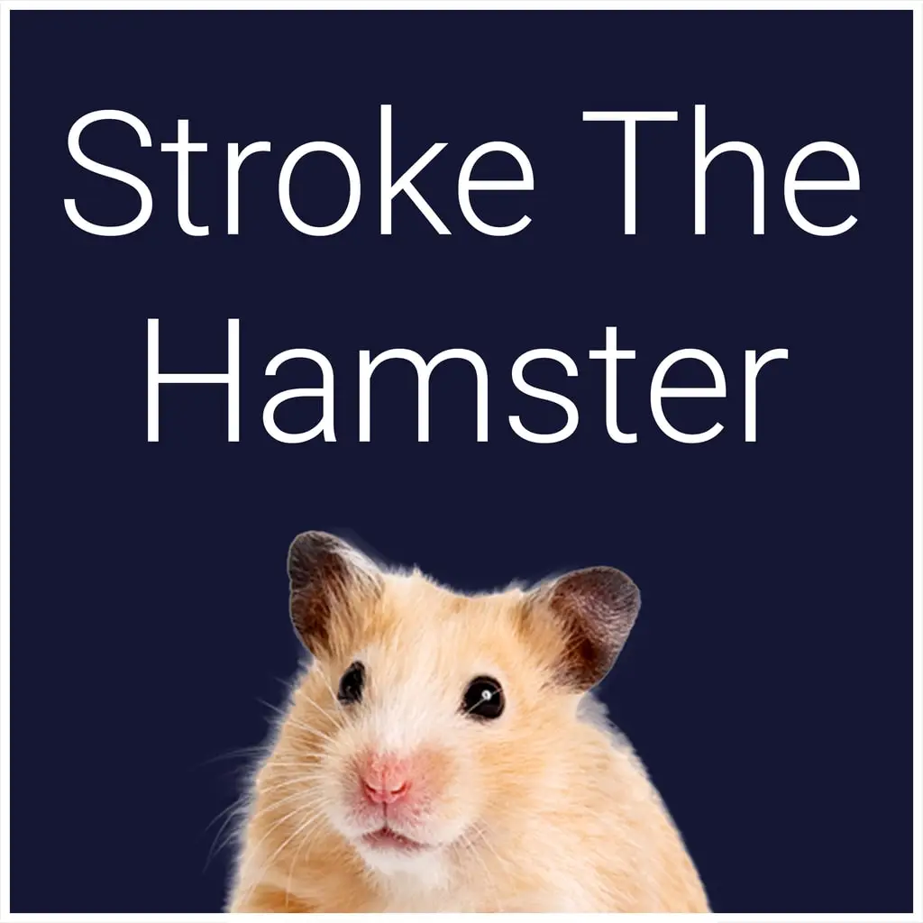Stroke The Hamster — цена PS4/PS5 в Беларуси