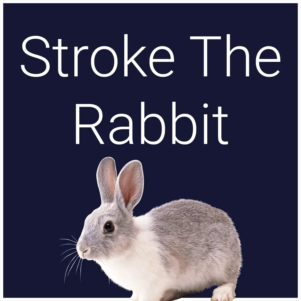 Stroke The Rabbit — PS4/PS5 price in Belarus