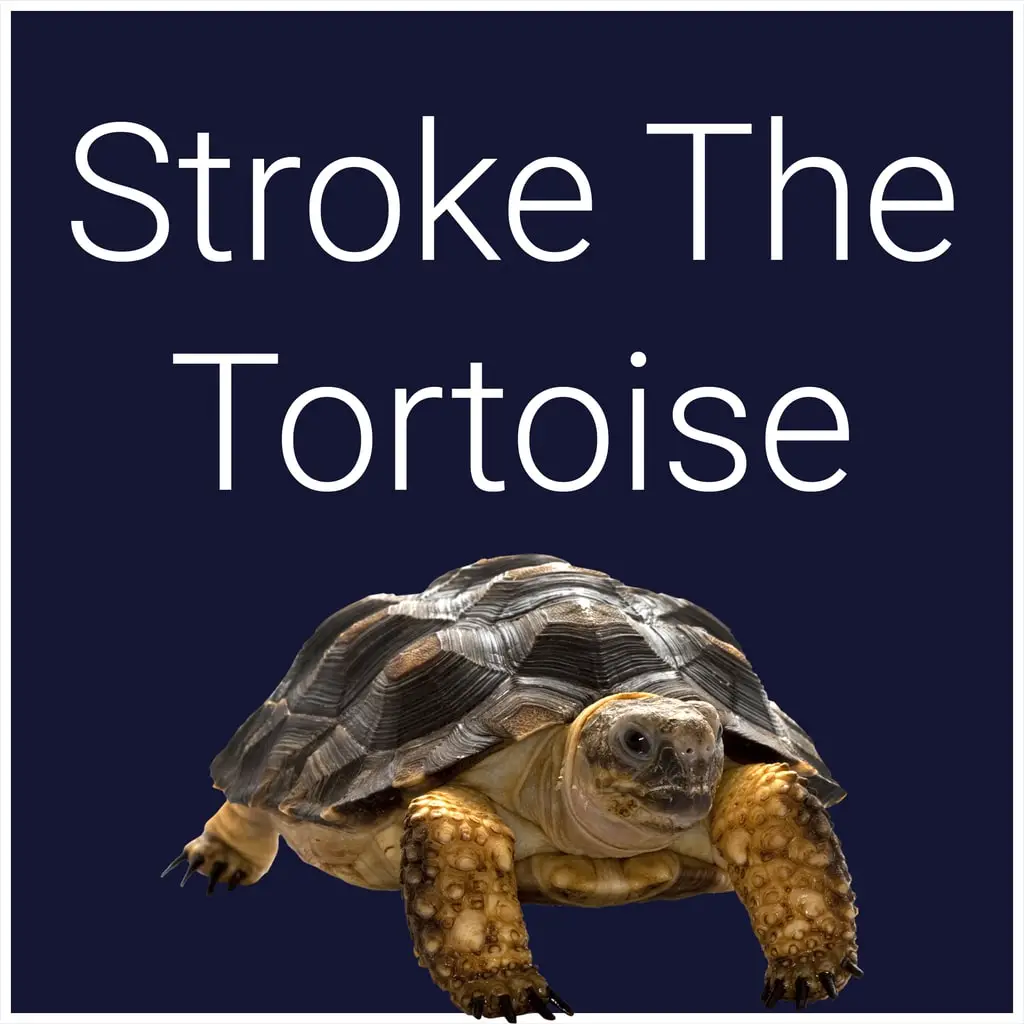 Stroke The Tortoise — цена PS4/PS5 в Беларуси