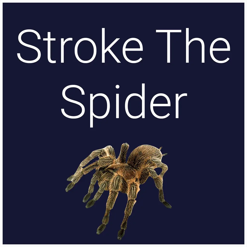 Stroke The Spider — PS4/PS5 price in Belarus