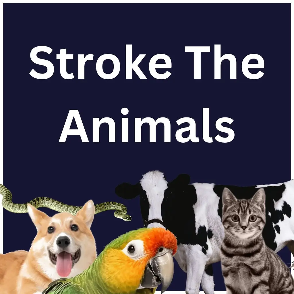 Stroke The Animals — цена PS4/PS5 в Беларуси