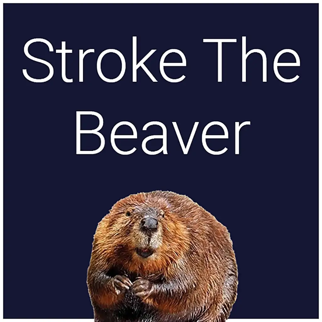 Stroke The Beaver — цена PS4/PS5 в Беларуси