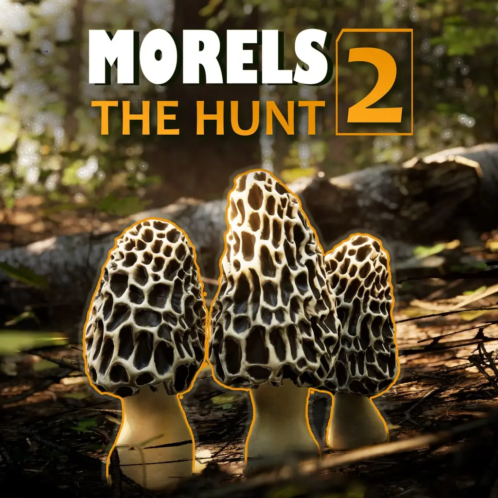 Morels The Hunt 2 — цена PS4/PS5 в Беларуси