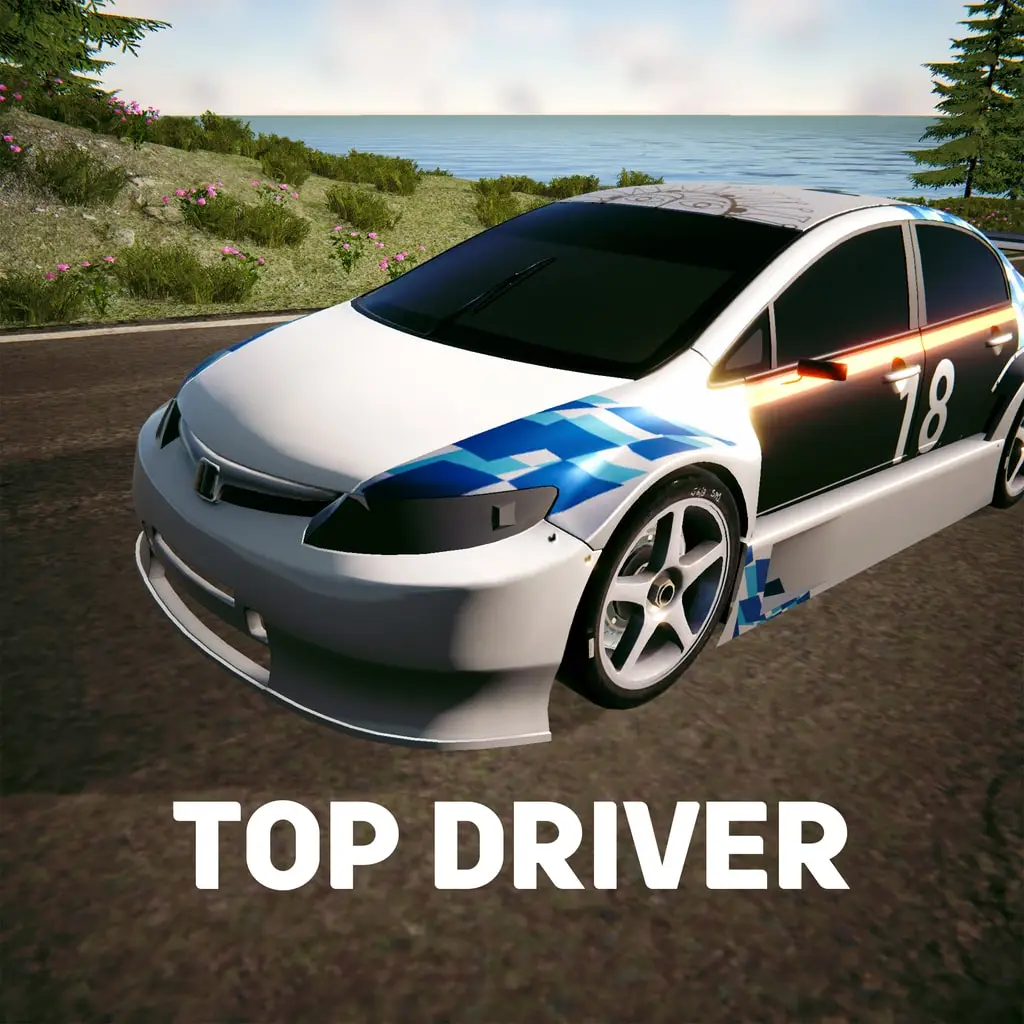 Top Driver — цена PS4/PS5 в Беларуси