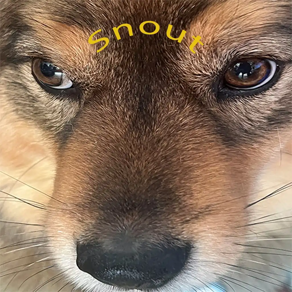 Snoot Booper — цена PS4/PS5 в Беларуси