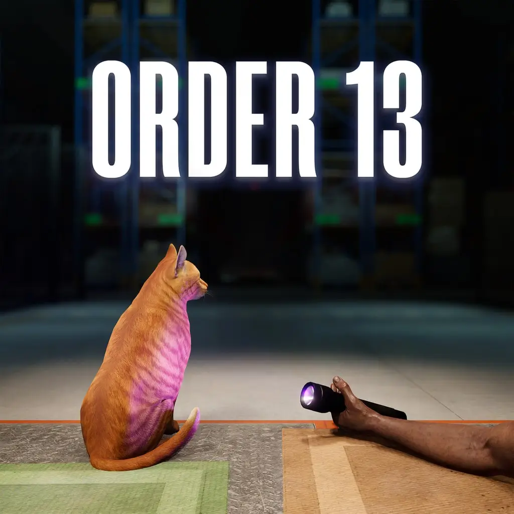 Order 13 — PS4/PS5 бағасы бүкіл әлемде
