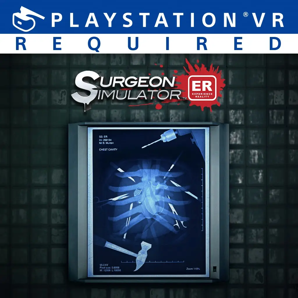 Surgeon Simulator: Experience Reality — цена PS4/PS5 в Беларуси