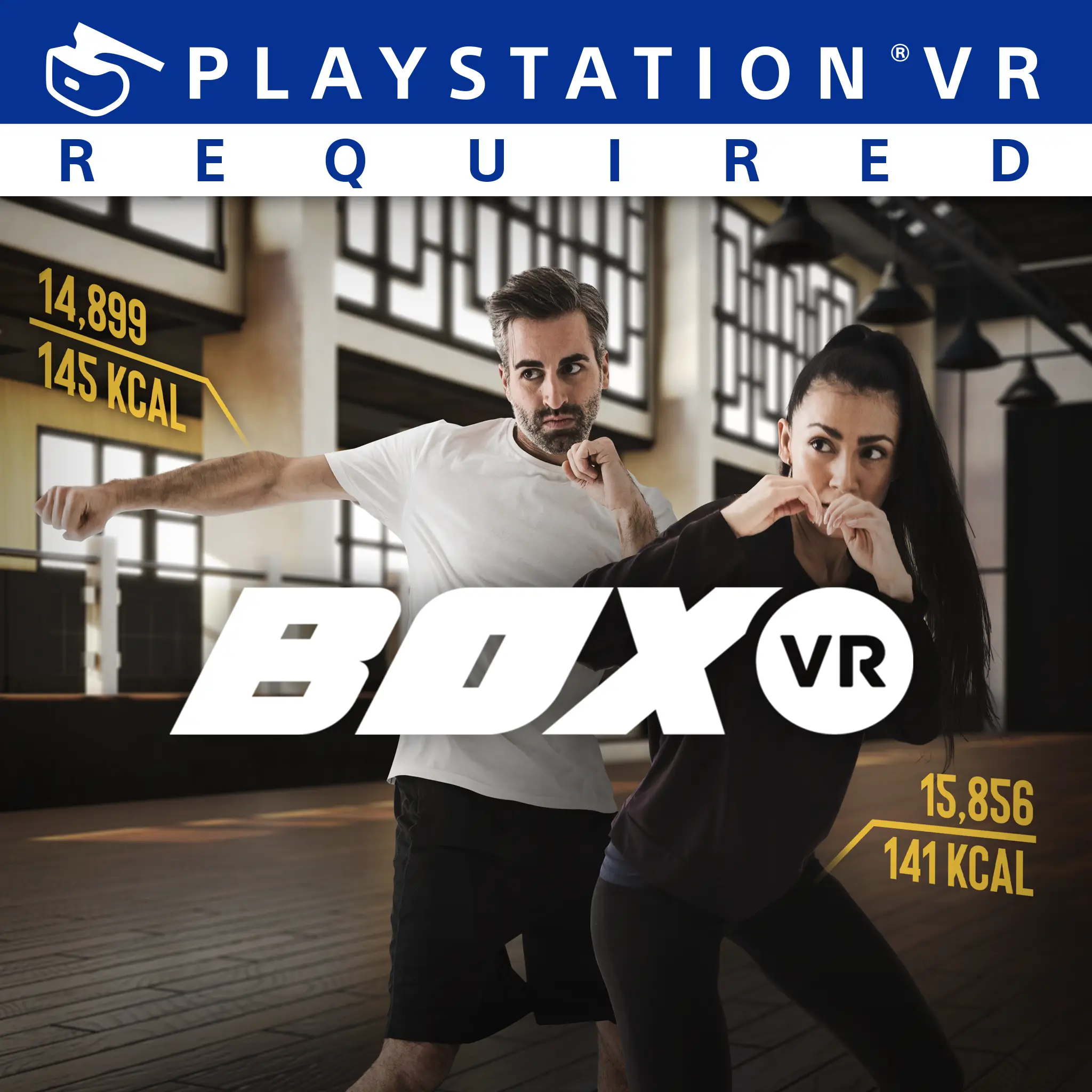 BoxVR — цена PS4/PS5 в Беларуси