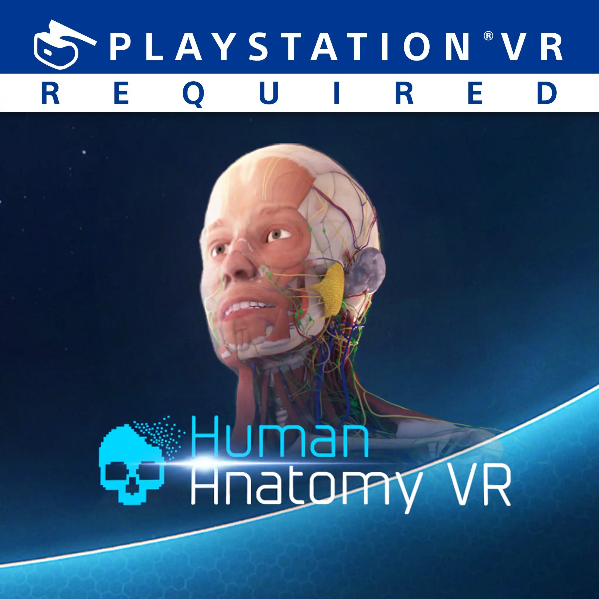 Human Anatomy VR — цена PS4/PS5 в Беларуси