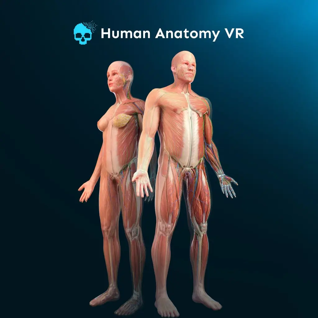 Human Anatomy VR — цена PS4/PS5 в Беларуси